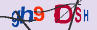 Codice captcha