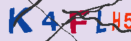 Codice captcha