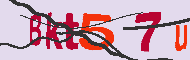 Codice captcha